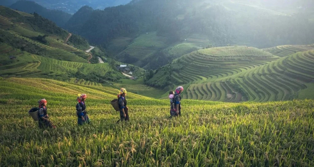 Sapa Village Vietnam